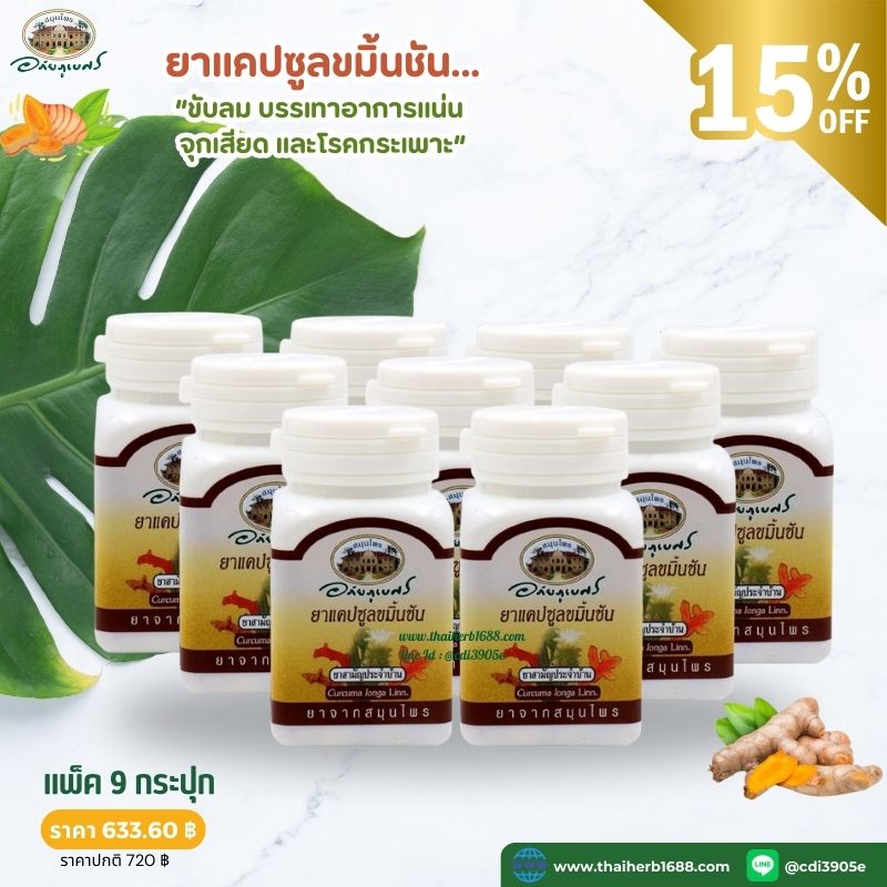 ยาแคปซูลขมิ้นชัน อภัยภูเบศร 9 กระปุก (ลด 12%)