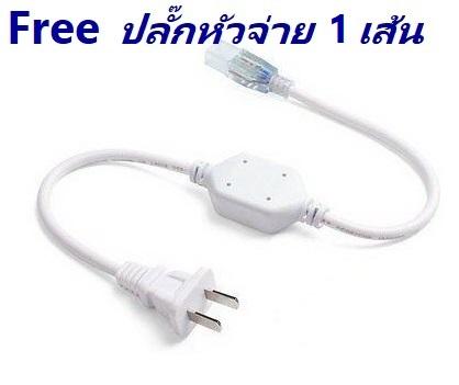 [ฟรี ! ปลั๊กหัวจ่าย ] LED Neon Flex AC220V เเบ่งขาย 5 เมตร ไฟเส้น led นีออนเฟล็กซ์ ไฟแอลอีดีนีออนดัด สามารถ ตัด ดัด โค้ง งอ ตกเเต่งายในและภายนอกสถานที่หรือการเดินไฟซ่อนฝ้า -กดเลือก แสงขาว วอร์ม เขียว เเดง น้ำเงิน ฟ้า เหลือง ความยาว 5 เมตร