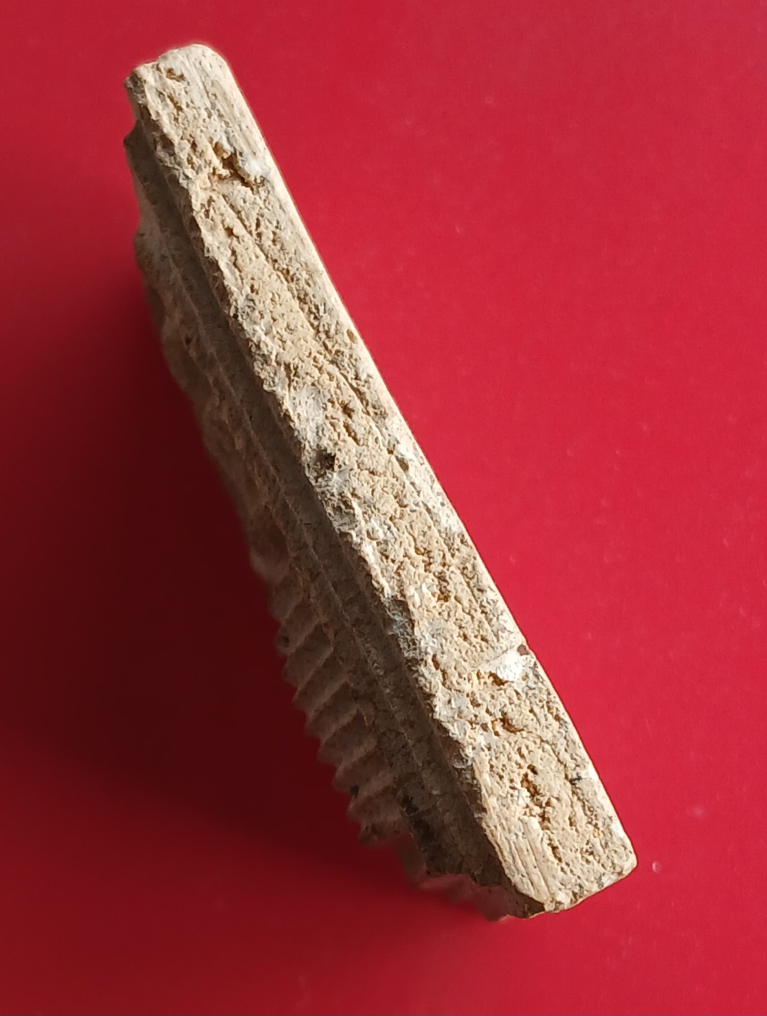 พระสมเด็จ 9 ชั้น หลวงปู่จันทร์ วัดศรีเทพ จ.นครพนม พิมพ์อกร่อง s3