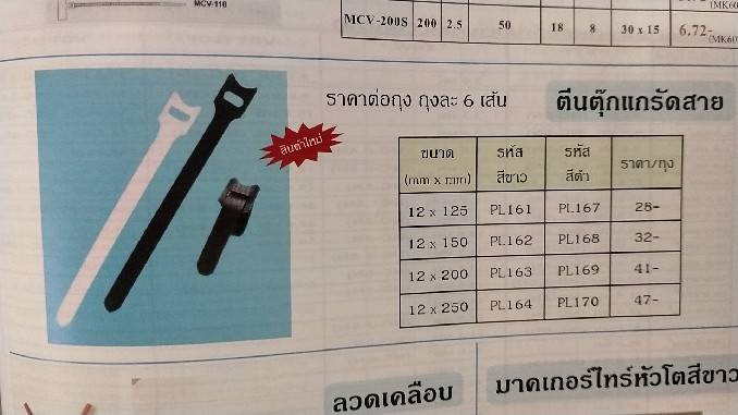 ตีนตุ๊กแกรัดสาย