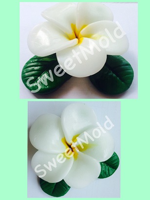 พิมพ์ลีลาวดีมีใบ 120g 4ช่อง - 003563