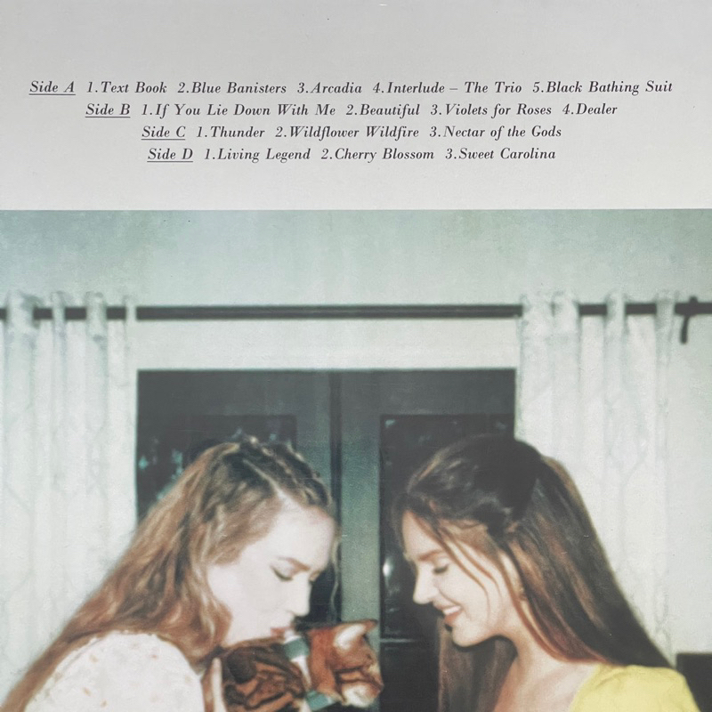 แผ่นเสียง Lana Del Ray Blue Banisters ,2 x Vinyl, LP, Album มือหนึ่ง ซีล