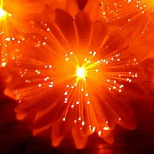 ไฟคริสมาส ไฟปีใหม่ ดอกไม้ไฟ LED flower light จำนวน 20 ดอก สายยาว 5.3 เมตร เเสงชมพู เหลือง ขาว มาพร้อมปลั๊กไฟ ใช้งานได้เลย / ใช้สำหรับเป็นไฟประดับตกเเต่ง ไฟเเฟนซีประดับอาคาร ไฟประดับต้นไม้ ไฟประดับต้นคริสมาส ไฟประดับปีใหม่ ไฟงานวัด ไฟเส้นตกเเต่ง