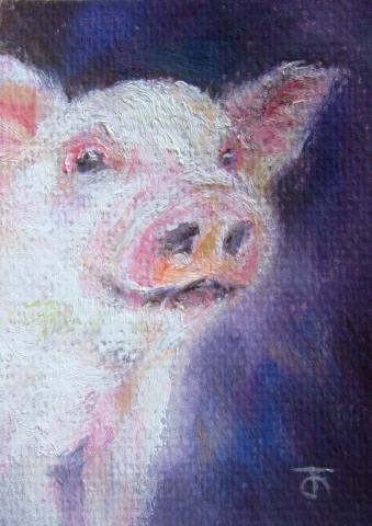 "Pig 02" สีน้ำมันบนกระดาษ canson 140 ปอนด์ ขนาด 2.5 x 3.5 นิ้ว