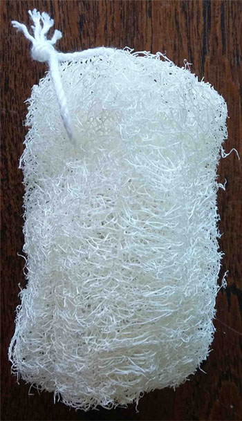 ใยบวบ ร้อยเชือกสีขาว แพ็ค20ชิ้น