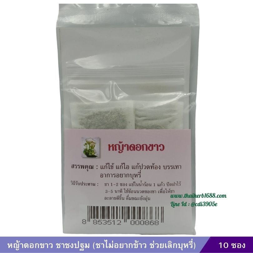หญ้าดอกขาว ชาชงปฐม (ชาไม่อยากข้าว ช่วยเลิกบุหรี่)