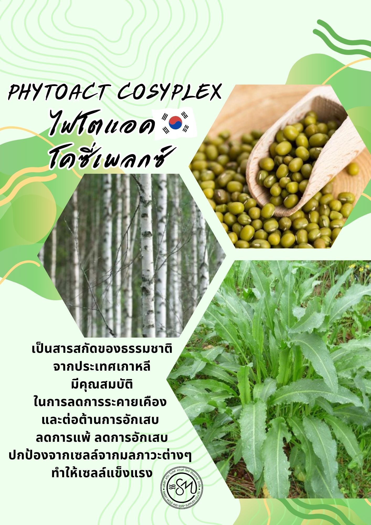 PHYTOACT COSYPLEX ช่วยลดการระคายเคือง และต่อต้านการอักเสบ ลดการแพ้ ขนาด 50 ML