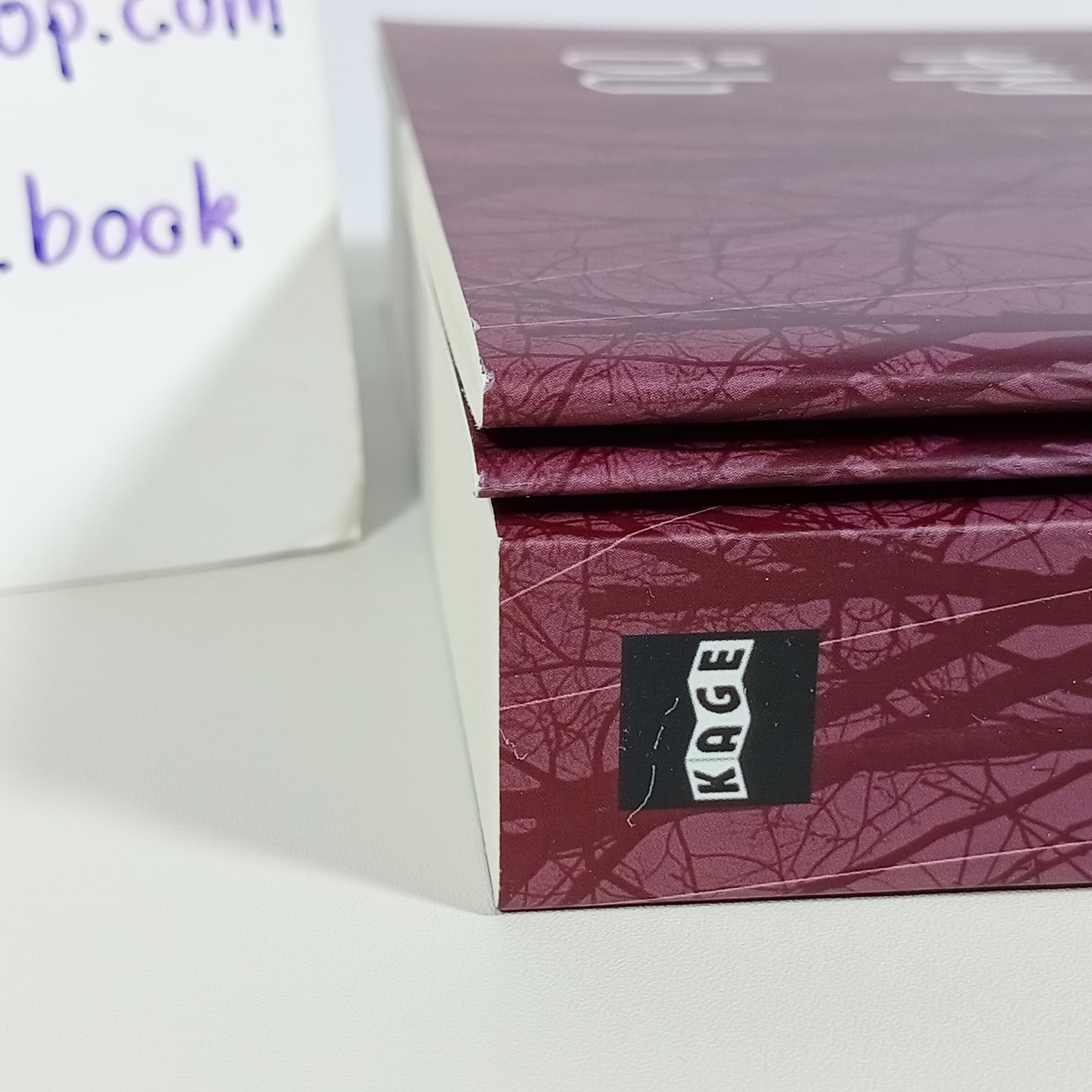 [นิยายวาย] ฤดูฝนที่ผมตาย + เล่มพิเศษ รอบจอง