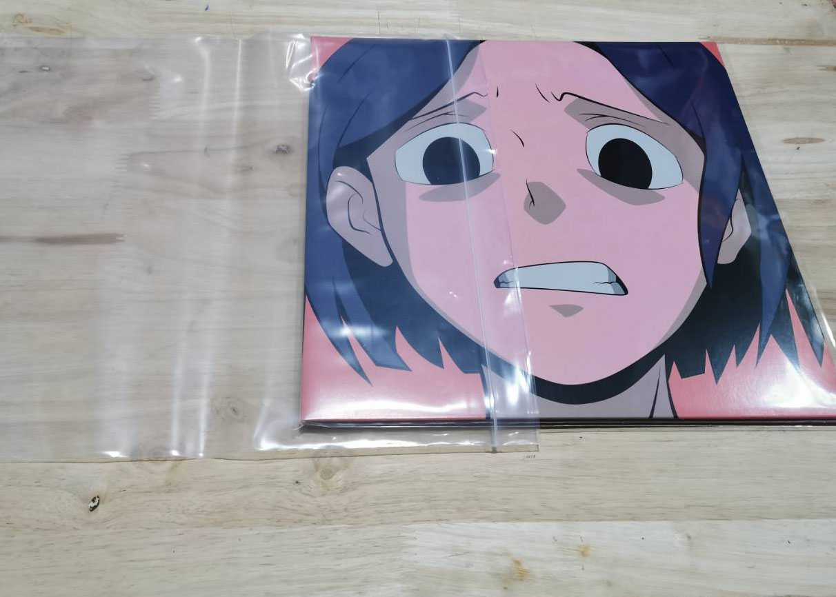 ซองซิปพลาสติกใส่แผ่นเสียง ซองพลาสติกเก็บแผ่นเสียง สำหรับแผ่น 12นิ้ว 50 ใบ