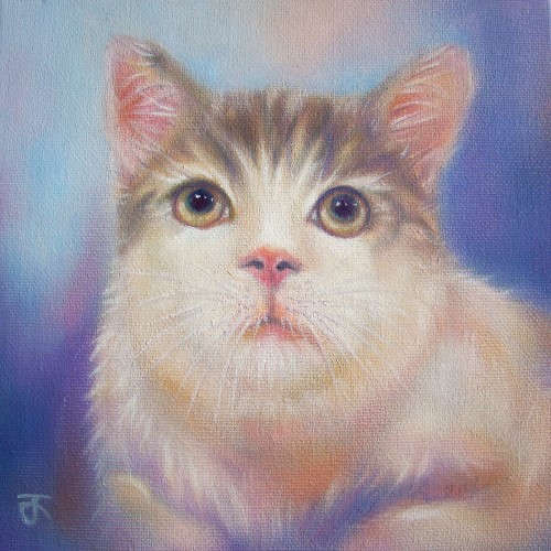 Cat 07 ภาพวาดสีน้ำมัน บนเฟรมผ้าใบ canvas ขนาด 20 x 20 cm.