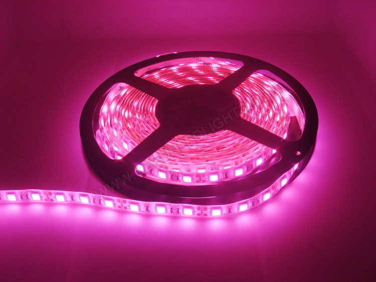 LED RIBBON ,ชมพู,12v ,chip5050