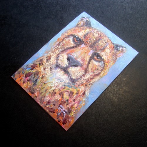 ACEO-ฺCheetah ภาพวาดสีน้ำมัน บนกระดาษ art card ขนาด 2.5 x 3.5 นิ้ว