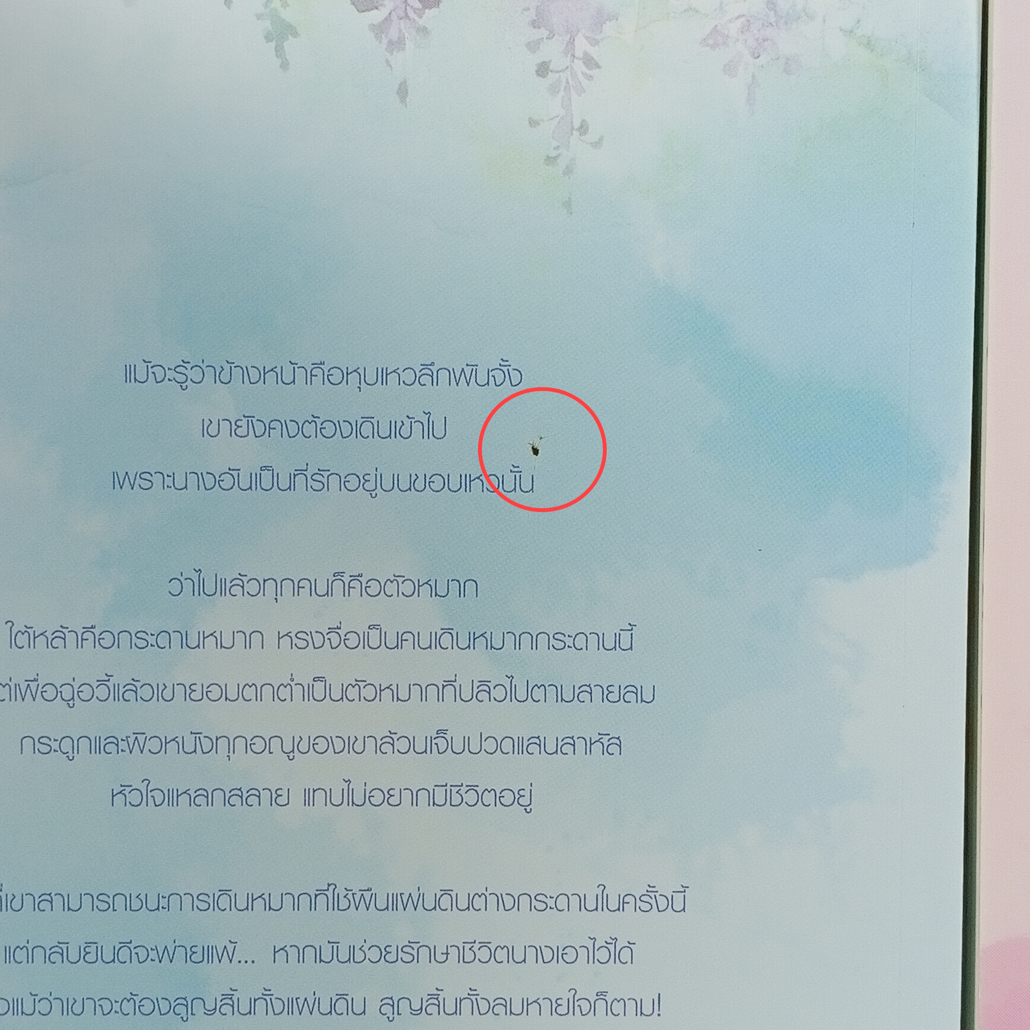 [นิยาย] หงส์ขังรัก เล่ม 4-5 + Box