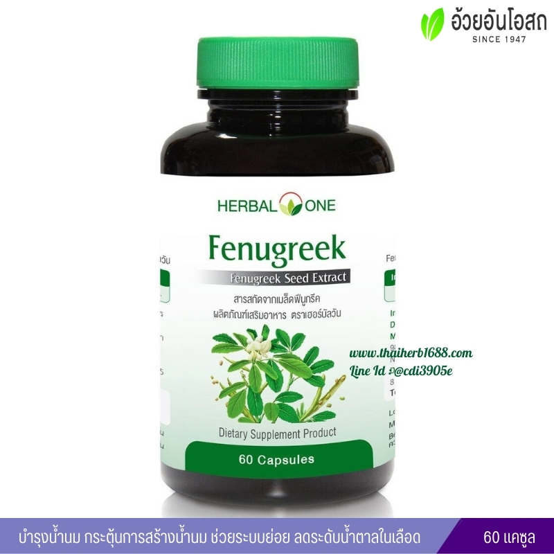 เมล็ดลูกซัด ฟีนูกรีค อ้วยอันโอสถ เฮอร์บัลวัน Fenugreek