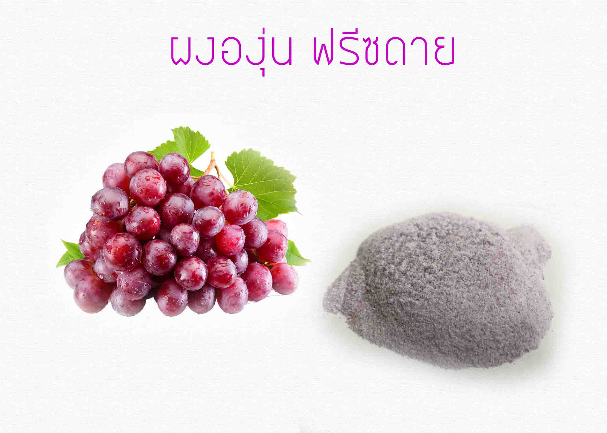 ผงองุ่นฟรีซดาย 50 กรัม รหัสสินค้า : 004686