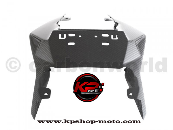 SEATTAIL CARBON WORLD FOR BMW S1000RR