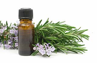 Rosemary Essential Oils โรสแมรี่ ขนาด 60 ML