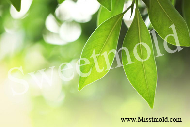 หัวน้ำหอมกลิ่นHerbal Green ขนาด100ML