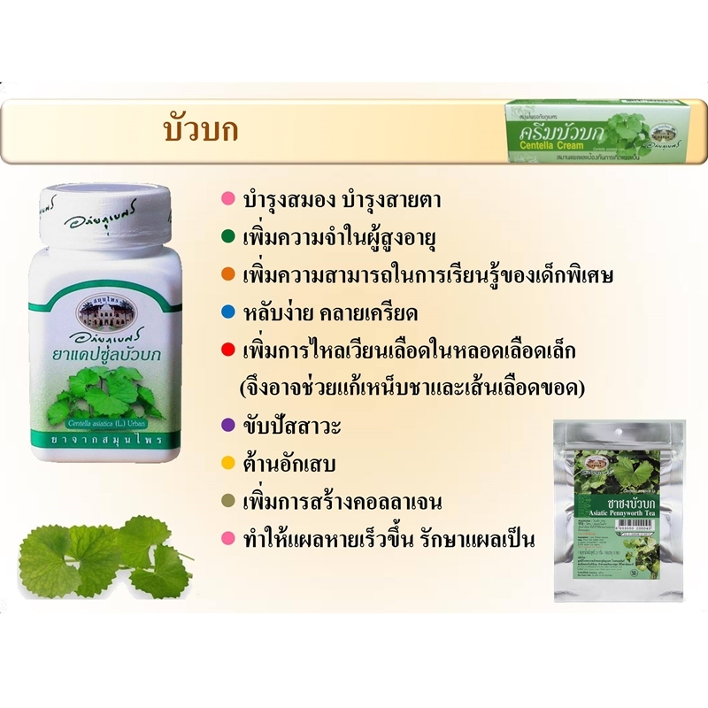 แคปซูลบัวบก อภัยภูเบศร