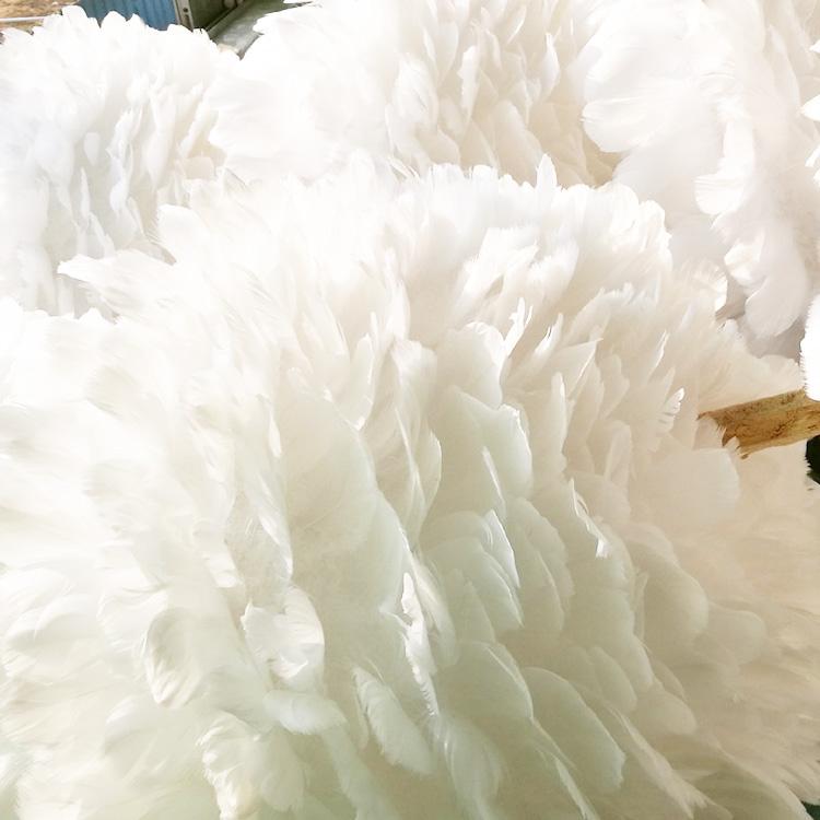 Pendant Lamp Lights Modern Style โคมไฟทรงกลมขนนกสีขาว ขนาดเส้นศูนย์กลาง 30 เมตร เเถมฟรี !! หลอดไฟ led E27 โคมไฟเพดาน โคมไฟ led โคมไฟตกเเต่งบ้าน โคมไฟประดับตกเเต่งเพดาน