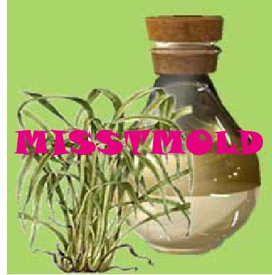 citronella oil (ตะไคร้หอม) ขนาด 1 kg