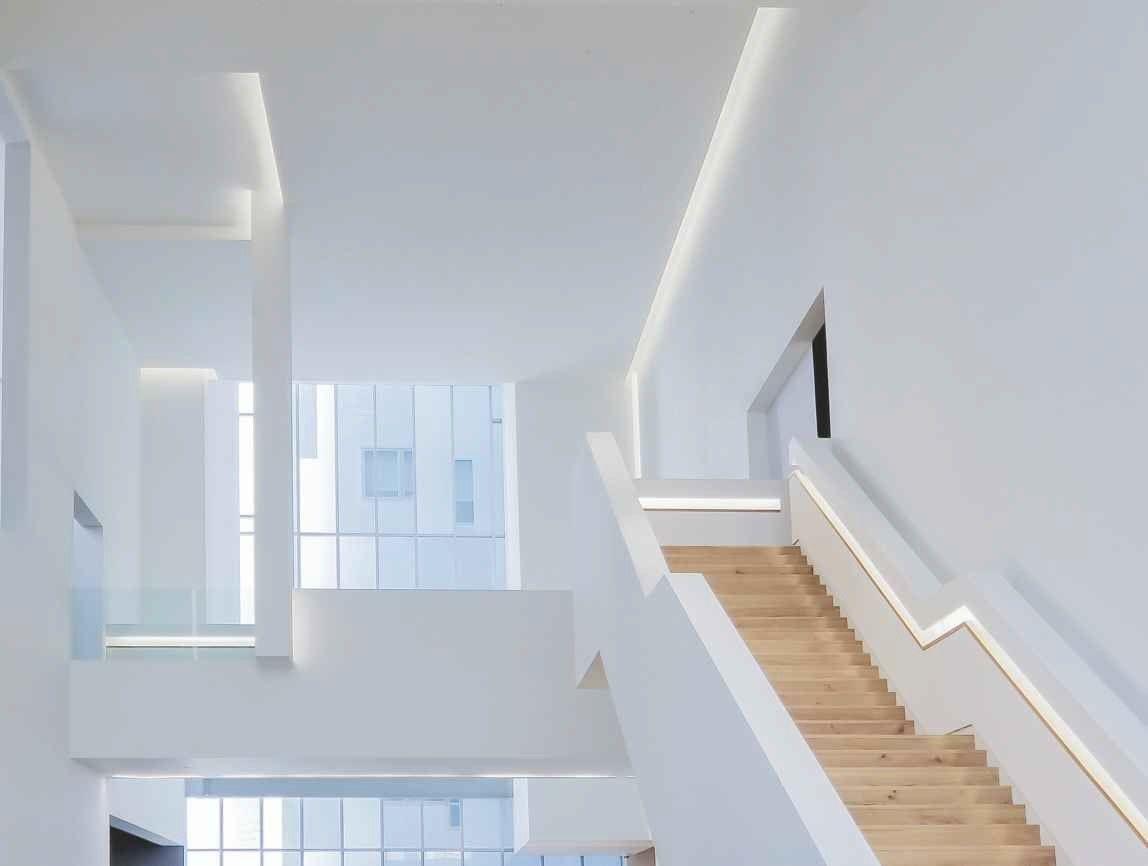 [ ฟรี ! ปลั๊กหัวจ่าย 6 เส้น ] ม้วน 100 เมตร LED NEON FLEX ไฟนีออนเฟล็กซ์ 2835 DC220v ไฟแอลอีดีนีออนดัด สามารถ ตัด ดัด โค้ง งอ ตกเเต่งายในและภายนอกสถานที่หรือการเดินไฟซ่อนฝ้า -กดเลือก แสง white warmwhite green red blue yellow