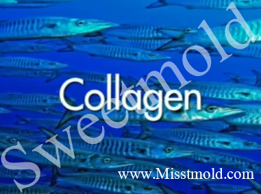 Collagen แบบผง สกัดจากปลาทะเลน้ำลึก 1 Kg 006412