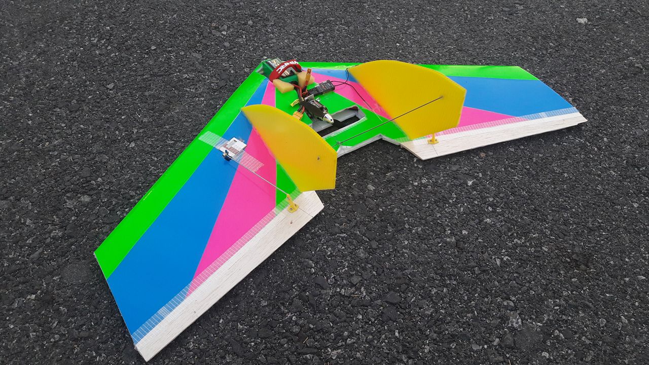 Flying Wing 80 cm