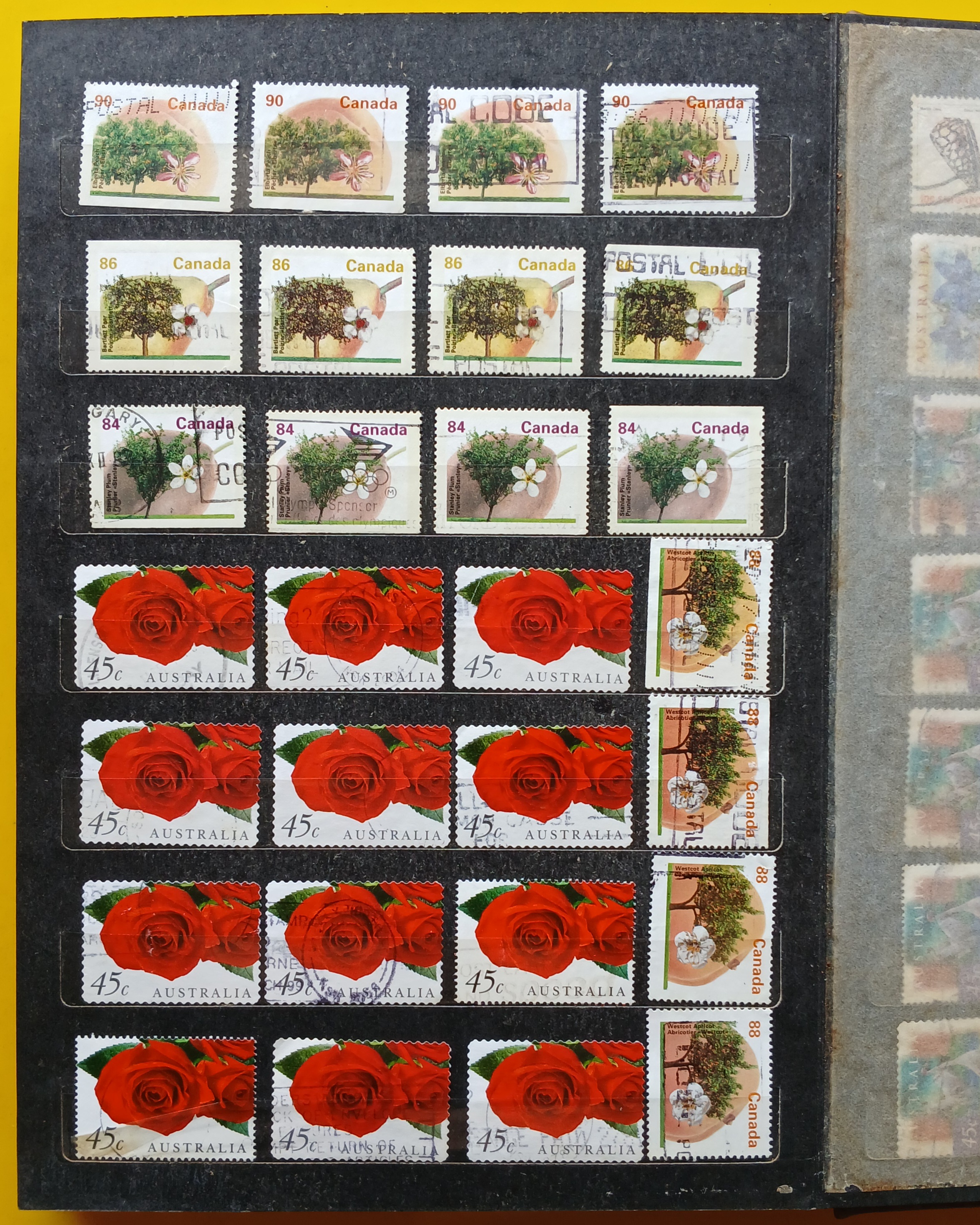 s3449-แสตมป์ต่างประเทศ พร้อมสมุด รวม 14 หน้า / 417 ดวง +โปสการ์ด ติดแสตมป์ต่างประเทศ ใช้แล้ว 4 ใบ +ซองส่งจริง ต่างประเทศส่งมาไทย 4 ซอง