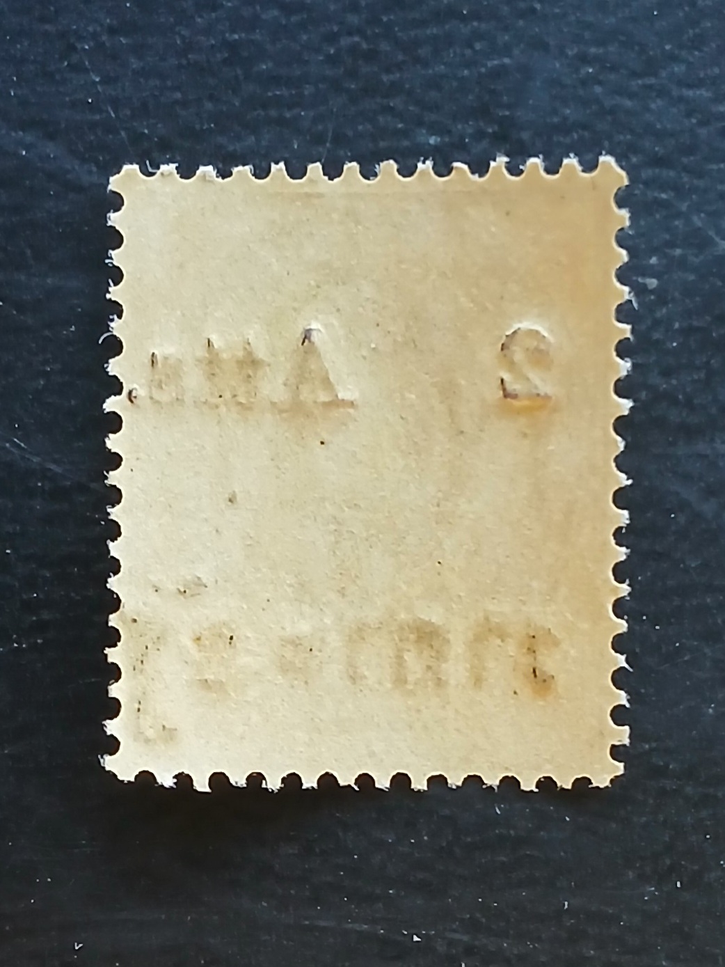 s3406-แสตมป์รัชกาลที่ 5 พระพักตร์ตรง-แก้ราคา 64 อัฐ แก้เป็น 2 อัฐ Type1 พ.ศ.2437 ลายน้ำกงจักร ยังไม่ใช้ มีกาวบาง สวย หายาก น่าสะสมครับ