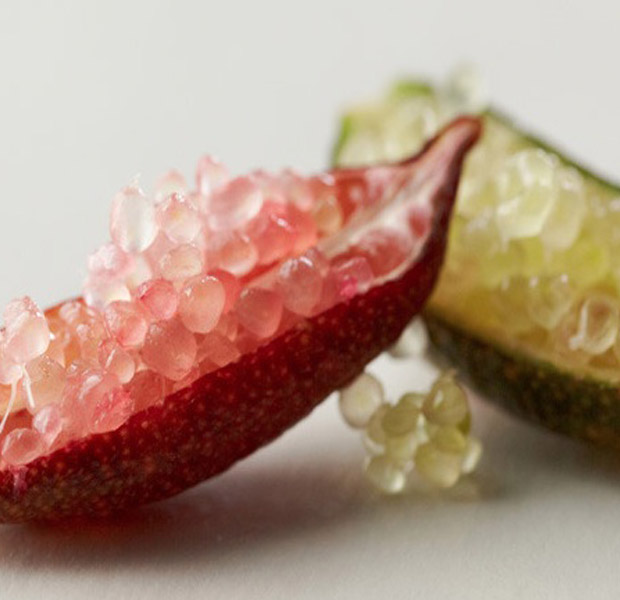 หัวน้ำหอมกลิ่นCaviar Lime ขนาด100ML : 004025 (Sale)