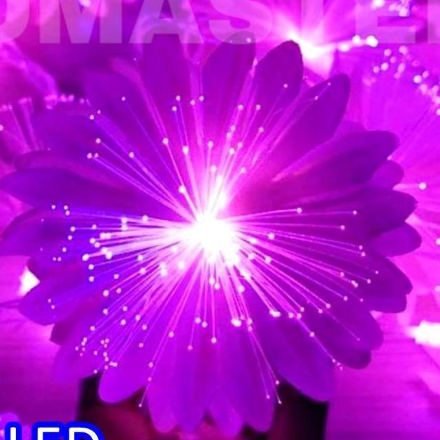 ไฟคริสมาส ไฟปีใหม่ ดอกไม้ไฟ LED flower light จำนวน 20 ดอก สายยาว 5.3 เมตร เเสงชมพู เหลือง ขาว มาพร้อมปลั๊กไฟ ใช้งานได้เลย / ใช้สำหรับเป็นไฟประดับตกเเต่ง ไฟเเฟนซีประดับอาคาร ไฟประดับต้นไม้ ไฟประดับต้นคริสมาส ไฟประดับปีใหม่ ไฟงานวัด ไฟเส้นตกเเต่ง