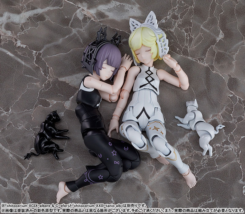 chitocerium XXII-tanio alb & atr