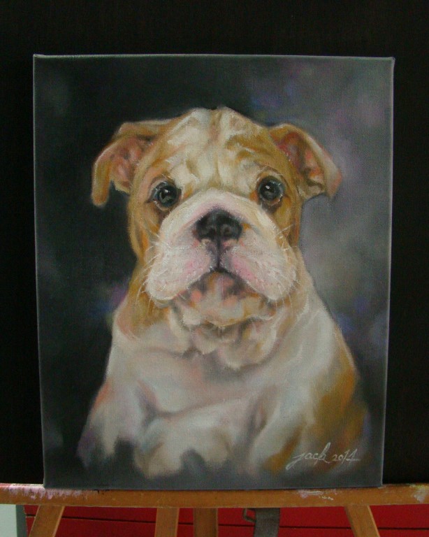 Bulldog Puppy ภาพวาดสีน้ำมัน งานเพ้นท์บนเฟรมผ้าใบ canvas ขนาด 24x30 cm.