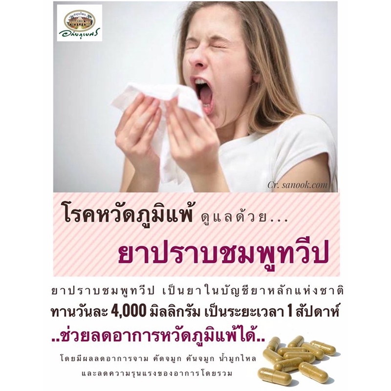 ยาแคปซูลปราบชมพูทวีป อภัยภูเบศร