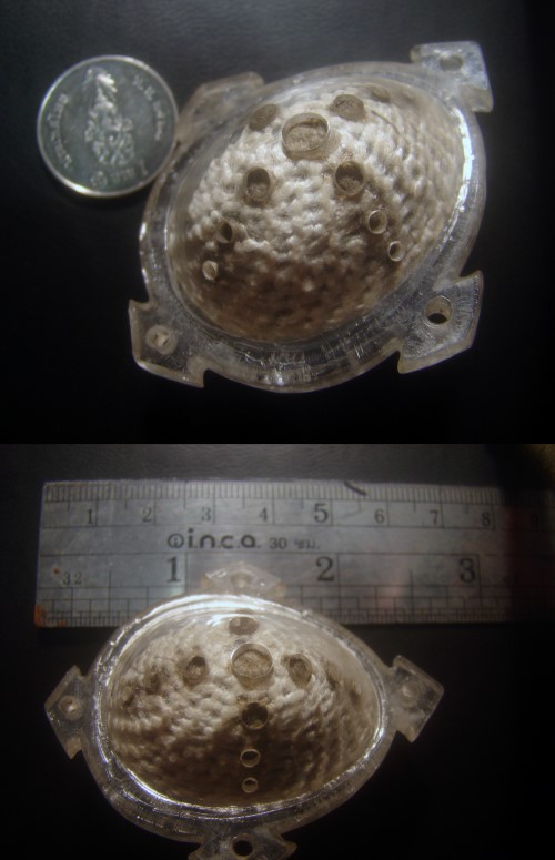 เบี้ยแก้ ตัวใหญ่ ถักเชือกขาว สองห่วง เลี่ยมพลาสติกครับ