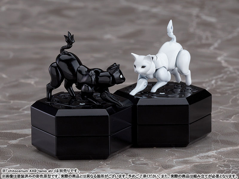 chitocerium XXII-tanio alb & atr