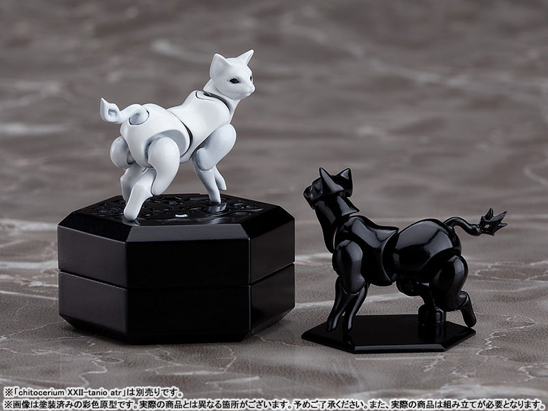 chitocerium XXII-tanio alb & atr