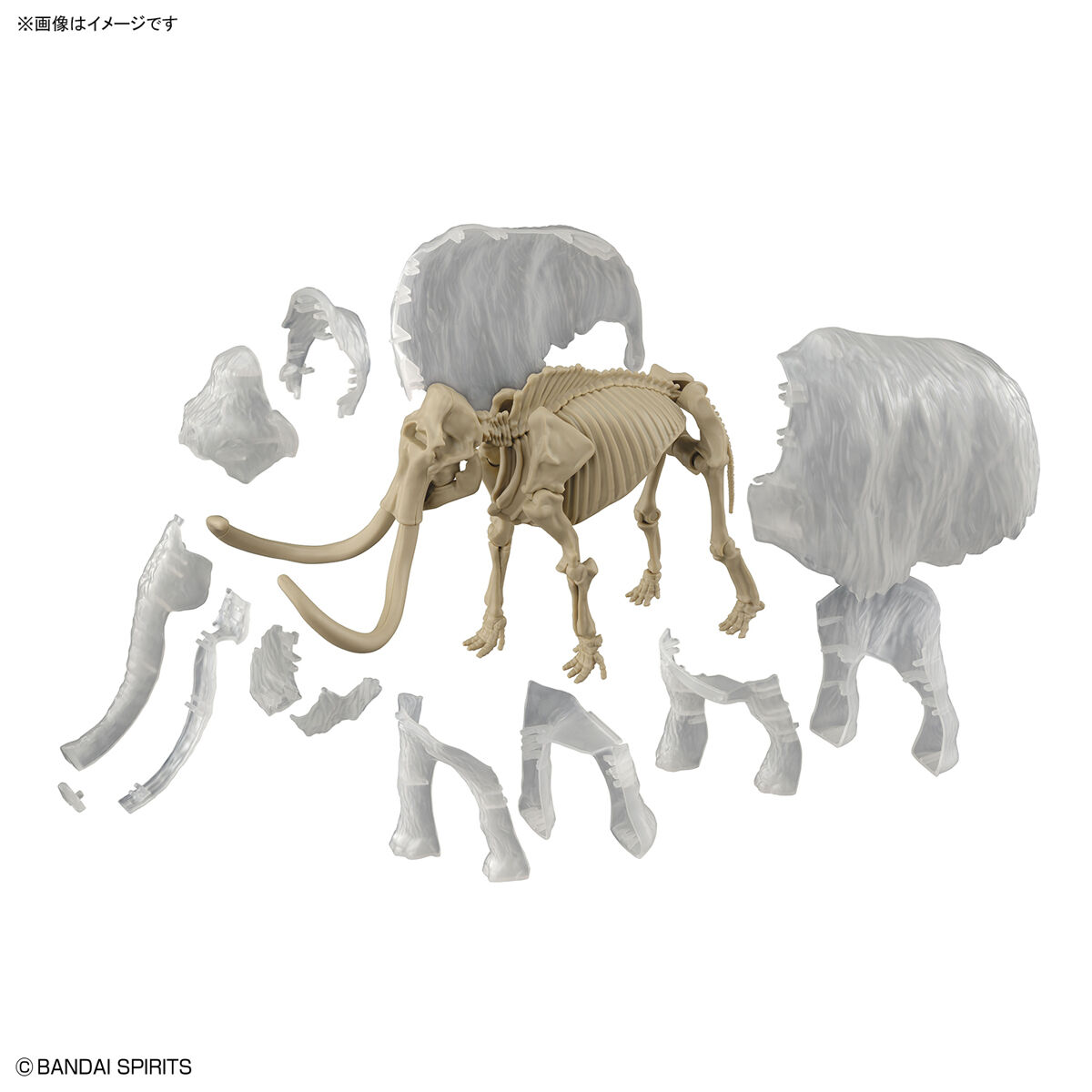 1062179 BANDAI SPIRITS Exploring Lab Nature Mammoth