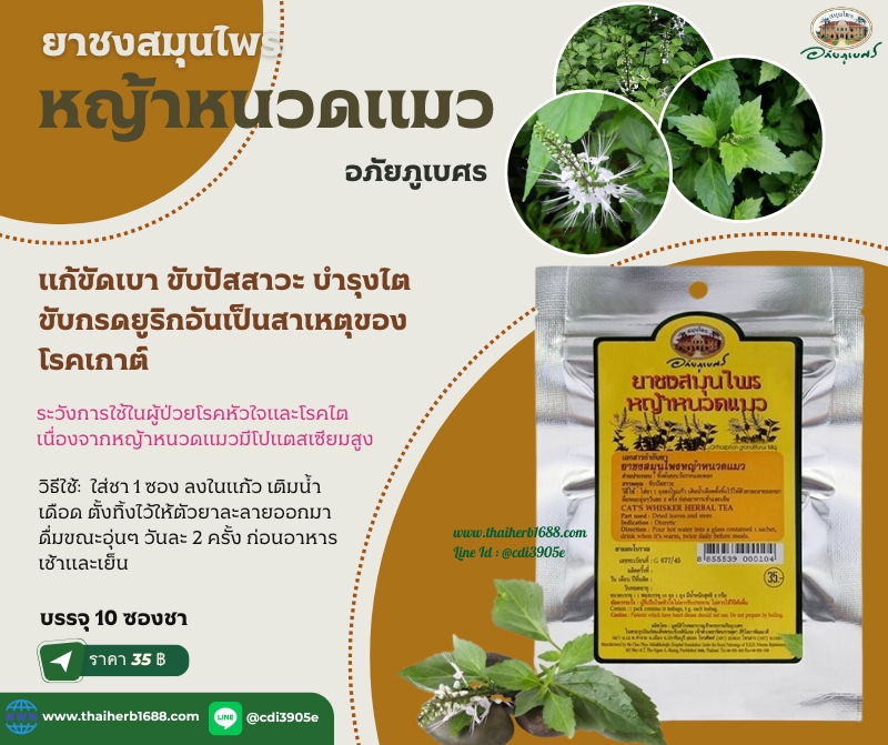 ยาชงสมุนไพรหญ้าหนวดแมว อภัยภูเบศร