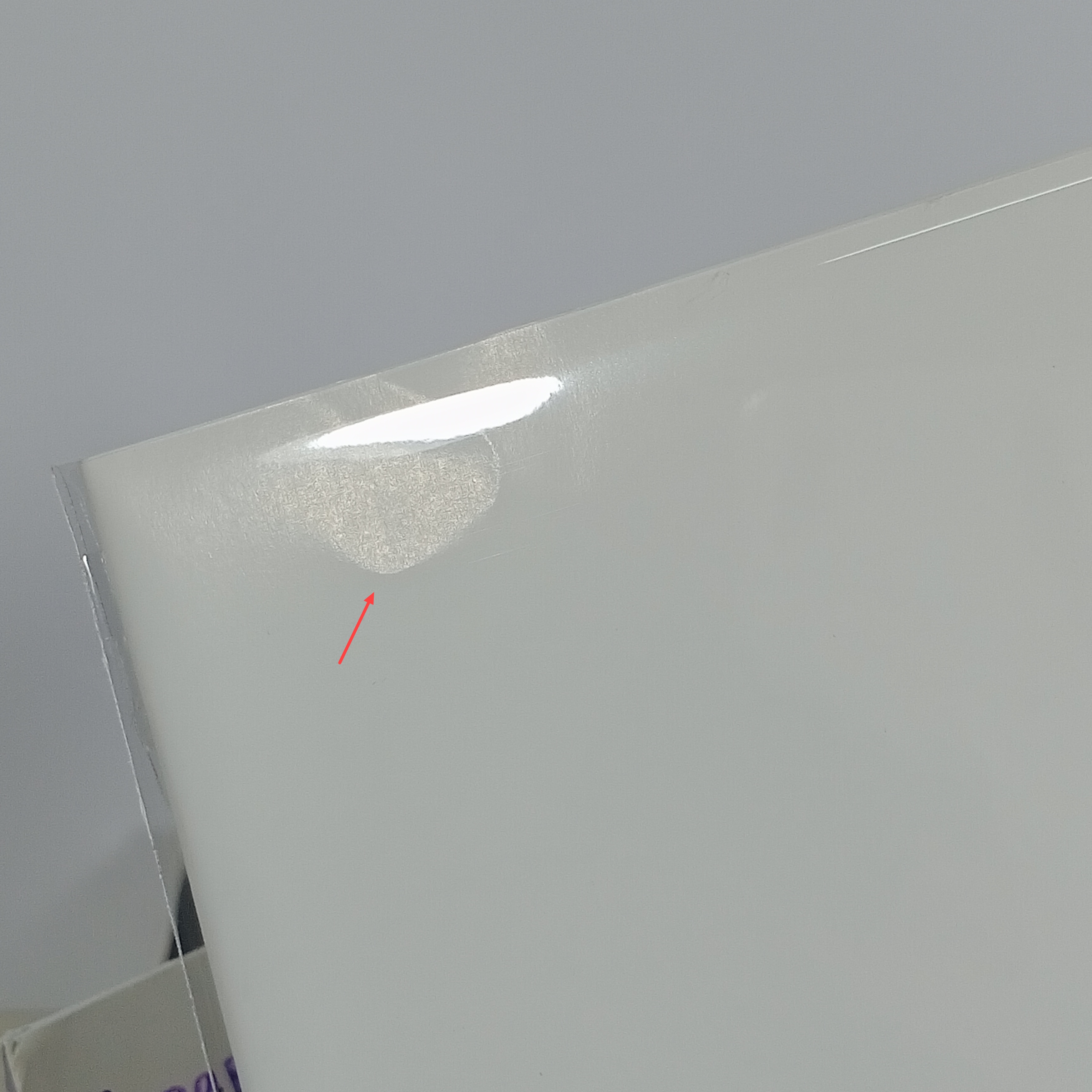 [นิยายวาย][มือ1] Forget Me Not + of Vivid Creatures 1-2