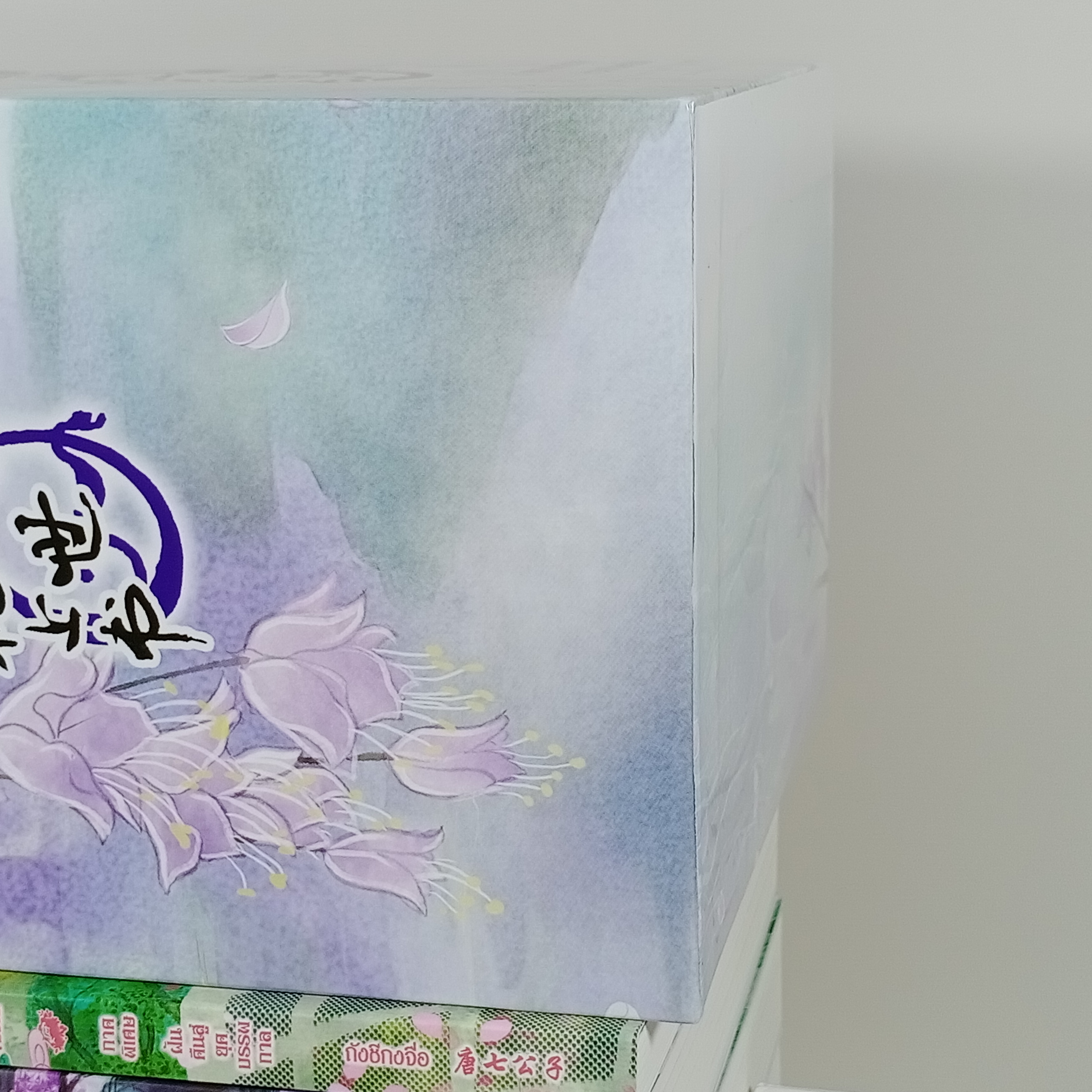 [นิยายแปลจีน] Boxset สามภพสามชาติ ลิขิตเหนือเขนย เล่ม 1-4 จบ + เล่มพิเศษ ตอนพิเศษ ฝันย้อนสู่ยุคบรรพกาล