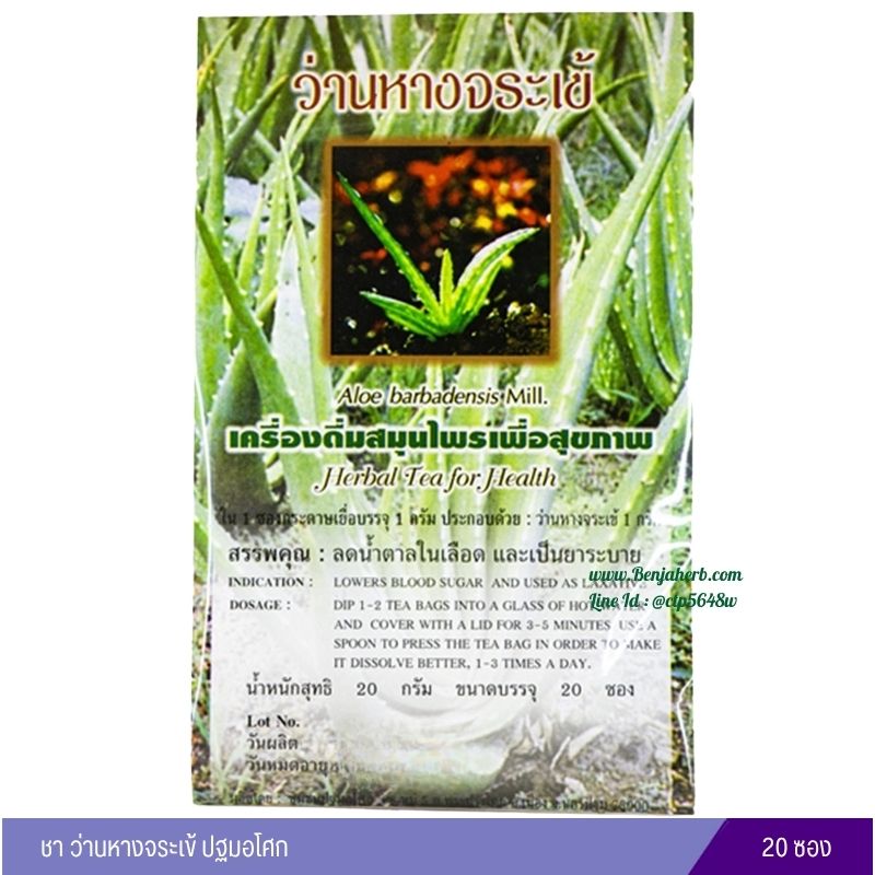 ชาว่านหางจระเข้ ปฐมอโศก