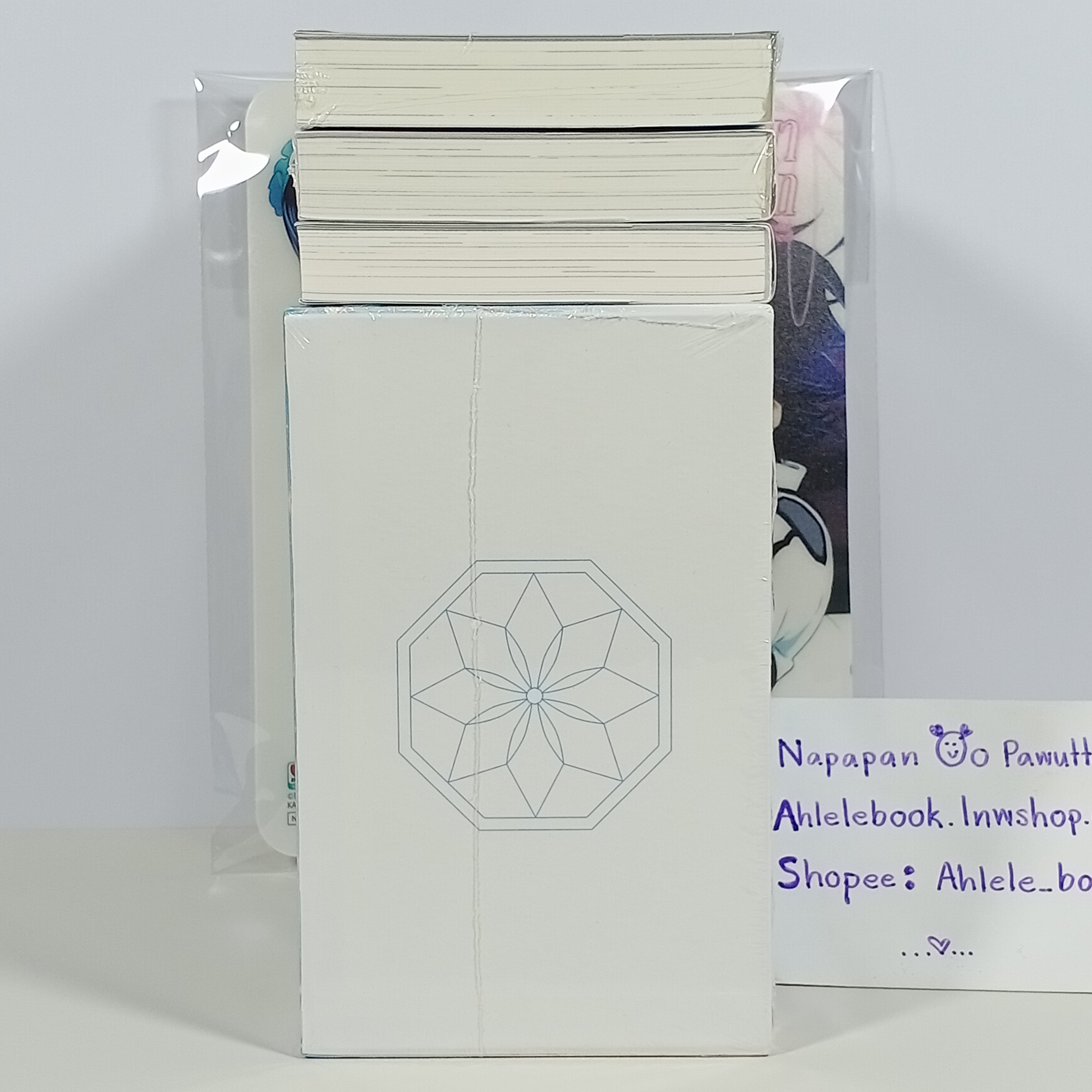 [ไลท์โนเวล][มือ1+2] เหมา Boxset พี่น้องปริศนาโรงเรียนมหาเวท เล่ม 1-7 + เล่ม 8-9-10