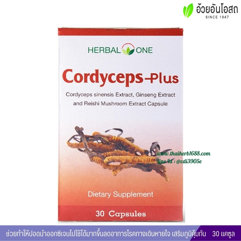 ตังถั่งเฉ้า-พลัส อ้วยอันโอสถ เฮอร์บัลวัน Cordyceps-Plus Herbal One