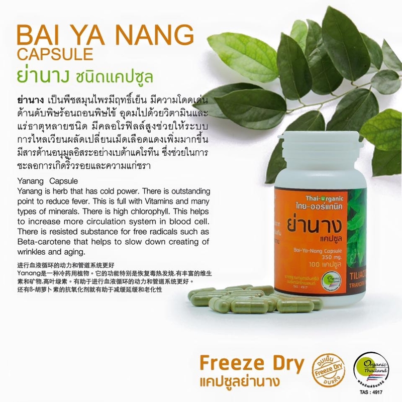 ย่านางแคปซูล อบเย็น ไทยออร์แกนิค 100 แคปซูล