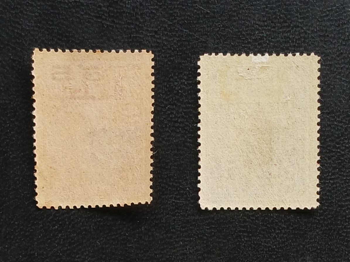 แสตมป์ ร.6 บำรุงเสือป่า ชุดแรก ปี 2462 ดวง 5+5 ส.ต.,10+5 ส.ต.ยังไม่ใช้ มีกาว