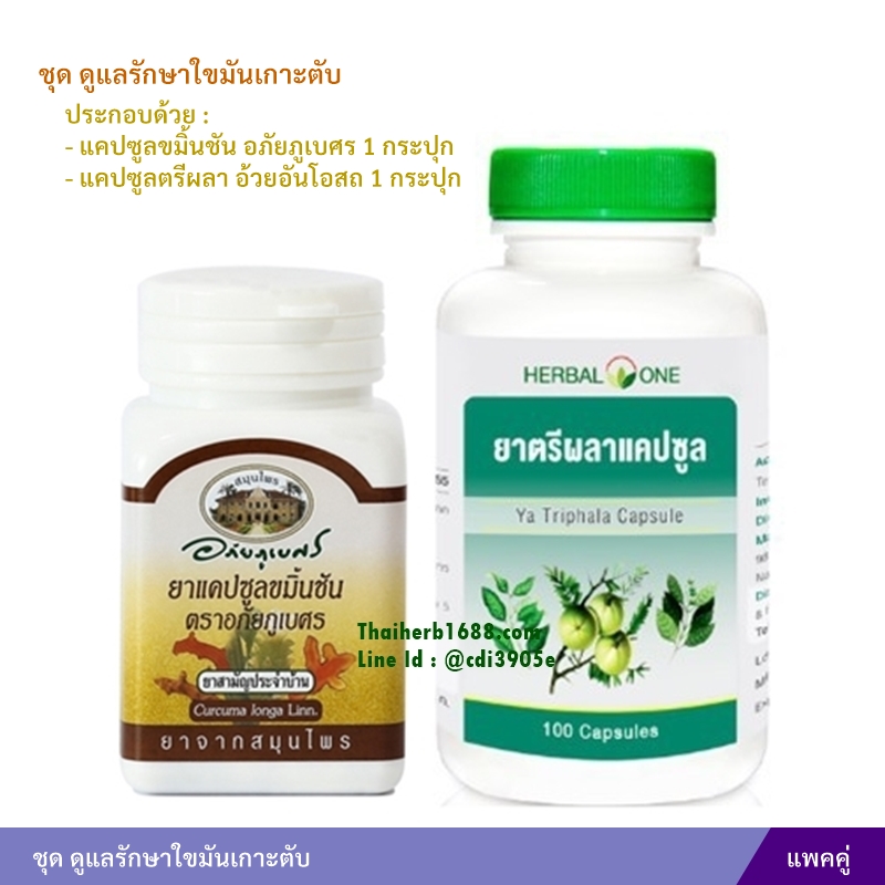 ชุด ดูแลรักษาใขมันเกาะตับ