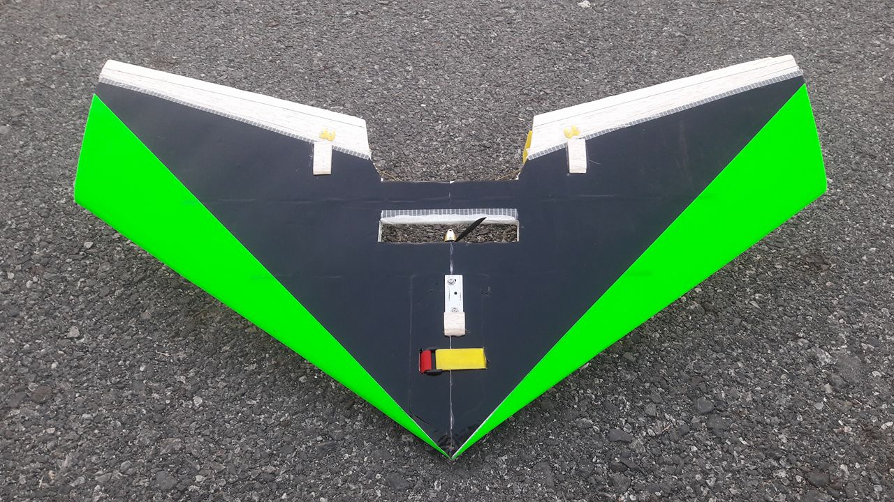Flying Wing 80 cm