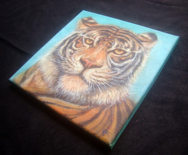"Tiger no.3" ภาพวาดสีน้ำมัน บนเฟรมผ้าใบ canvas ขนาด 20 x 20 cm.